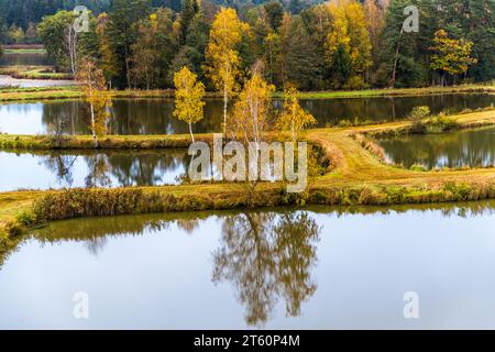 Teiche für Fischzucht, Teichpfanne Tirschenreuth und Naturschutzgebiet Waldnaabaue. Tirschenreuth, Deutschland Stockfoto