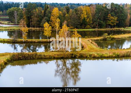 Tirschenreuth Teichpfanne und Naturschutzgebiet Waldnaabaue im Oberpfälzer Wald. Blick auf die alte Kulturlandschaft von der Aussichtsplattform „Himmelsleiter“. Tirschenreuth, Deutschland Stockfoto