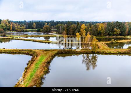 Tirschenreuth Teichpfanne und Naturschutzgebiet Waldnaabaue im Oberpfälzer Wald. Die ersten Teiche für die Fischzucht wurden hier vor mehr als 1.000 Jahren angelegt. Tirschenreuth, Deutschland Stockfoto