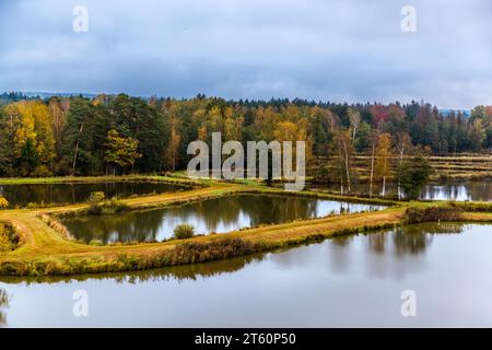 Teichpfanne und Naturschutzgebiet Waldnaabaue im Oberpfälzer Wald. Mosaik aus Teichen, Wegen und Wäldern. Tirschenreuth, Deutschland Stockfoto