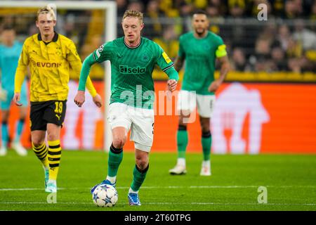 Dortmund, Deutschland. November 2023. DORTMUND, DEUTSCHLAND - 7. NOVEMBER: Während des UEFA Champions League Gruppe F Spiels zwischen Borussia Dortmund und Newcastle United FC am 7. November 2023 im Signal Iduna Park in Dortmund (Foto: Rene Nijhuis/BSR Agency) Credit: BSR Agency/Alamy Live News Stockfoto