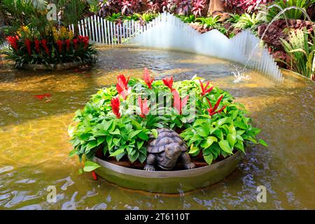 Vriesea carinata und Schildkröte Skulptur Stockfoto