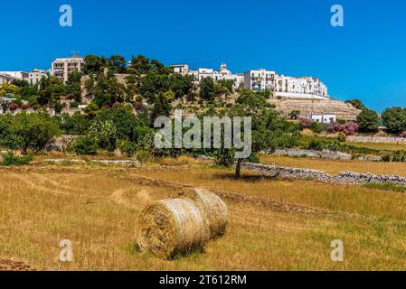 Blick auf Locorontondo, Apulien, Italien vom angrenzenden Ackerland Stockfoto