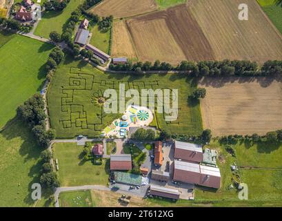 Luftaufnahme, Maislabyrinth Terhardt und Vergnügungspark, Sonnenblume im Feld, Lippramsdorf, Haltern am See, Ruhrgebiet Münsterland, Nordrhein-Westfalen Stockfoto