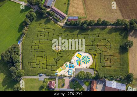 Luftaufnahme, Maislabyrinth Terhardt und Vergnügungspark, Sonnenblume im Feld, Lippramsdorf, Haltern am See, Ruhrgebiet Münsterland, Nordrhein-Westfalen Stockfoto