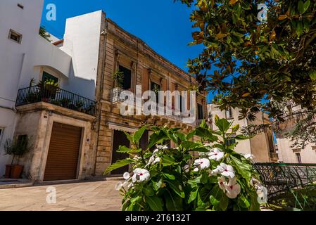 Piazza Roma in Martina Franca, Apulien, Italien im Sommer Stockfoto