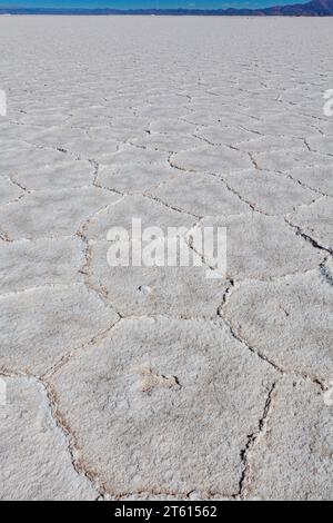 Salinas Grandes Salzes in Salta, Anden, Nordargentinien, Südamerika Stockfoto