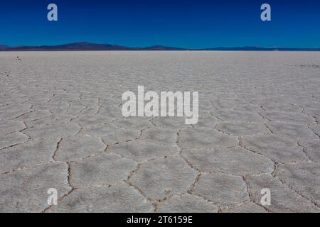 Salinas Grandes Salzes in Salta, Anden, Nordargentinien, Südamerika Stockfoto