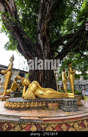MwSt. Haysoke (Wat Haysok), liegende Buddha-Statue, heiliger Baum im Hof, Vientiane, Laos, Südostasien, Asien Stockfoto