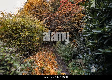 Moody Herbstlandschaft. Garten, Park im Herbst. Herbstpark unter bunten Bäumen, Sträuchern mit goldenen, orangen Blättern. Steinweg Weg in Goldwälder. Fern Stockfoto