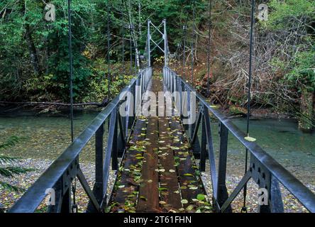 Ohanapecosh Flussbrücke auf Grove des Patriarchen Trail, Mt Rainier-Nationalpark, Washington Stockfoto