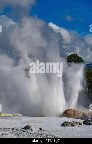 Der Geysir bricht aus und verteilt einen mächtigen Wasserstrom in die Luft. Stockfoto