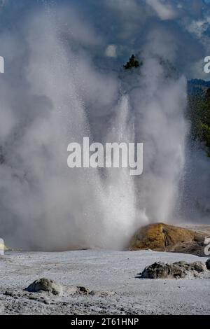 Der Geysir bricht aus und verteilt einen mächtigen Wasserstrom in die Luft. Stockfoto