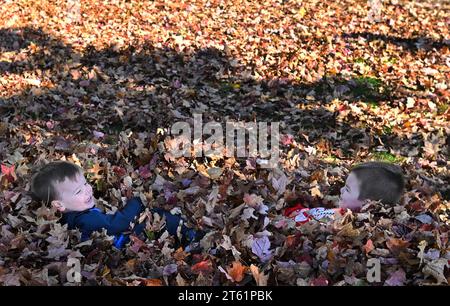 Wilkes Barre, Usa. November 2023. Der zweijährige Greyson Paul und der vierjährige Easton Paul ruhen sich in einem Haufen Blätter aus. (Foto: Aimee Dilger/SOPA Images/SIPA USA) Credit: SIPA USA/Alamy Live News Stockfoto