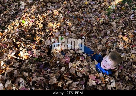 Wilkes Barre, Usa. November 2023. Der zweijährige Greyson Paul spielt in einem Blätterhaufen in Wilkes-Barre. (Foto: Aimee Dilger/SOPA Images/SIPA USA) Credit: SIPA USA/Alamy Live News Stockfoto