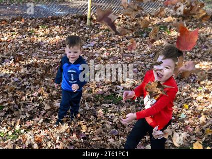 Wilkes Barre, Usa. November 2023. Der zweijährige Greyson Paul und der vierjährige Easton Paul spielen in einem Blätterhaufen. (Foto: Aimee Dilger/SOPA Images/SIPA USA) Credit: SIPA USA/Alamy Live News Stockfoto