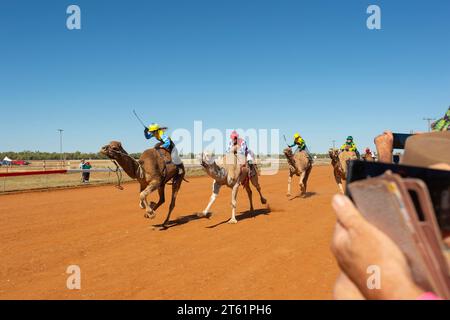 Kamelrennen bei Boulia, einem beliebten Outback-Event in Queensland, QLD, Australien Stockfoto