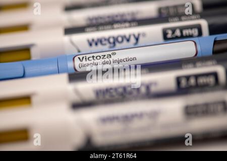 Stillleben von Victoza und Wegovy. Beide sind verschreibungspflichtige Arzneimittel zur Gewichtsreduktion. Stockfoto