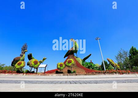 Tangshan - 27. August: pfau- und rotgekrönte Kranskulptur grüne Pflanzen, am 27. August 2016, Stadt tangshan, Provinz hebei, China Stockfoto