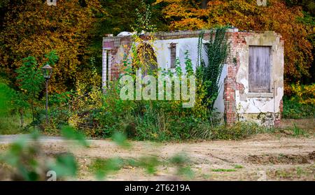 03. November 2023, Niedersachsen, Lüneburg: Die Überreste der ehemaligen Möllering Villa stehen auf einem Grundstück. Im historischen Waldhaus bei Lüneburg wird das geplante Dokumentationszentrum nicht untergebracht sein. Künftig sollte das Anwesen dazu genutzt werden, an die Tatsache zu erinnern, dass hier 1945 die Kapitulation Norddeutschlands ausgehandelt wurde. (Zu dpa "Historisches Projekt in Möllering Villa in Lüneburg am Rande des Zusammenbruchs") Foto: Philipp Schulze/dpa Stockfoto