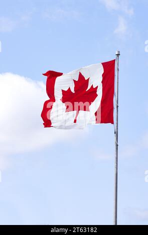 Kanadische Flagge. Die Nationalflagge Kanadas, die von einem Fahnenmast gegen einen blauen Himmel fliegt. Nova Scotia, Kanada Stockfoto