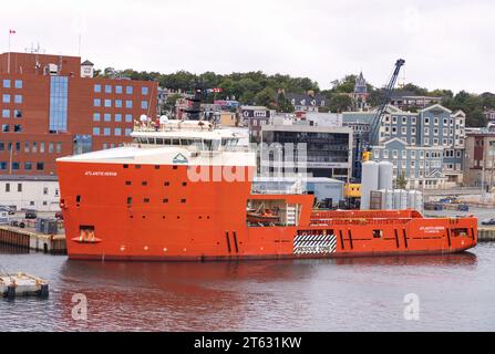 The Atlantic Heron, ein Offshore-Versorgungsschiff mit multifunktionaler Plattform, das im St. Johns Harbour in Neufundland, Kanada, vor Anker gebracht wird Stockfoto