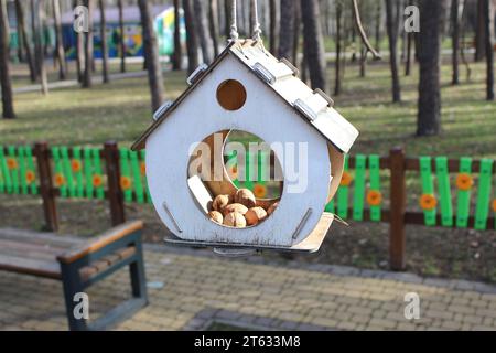 Walnüsse für Eichhörnchen in einem Vogelfutter in der Nähe eines Spielplatzes in einem Park Stockfoto