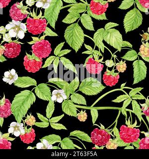 Himbeerzweige auf schwarzem Hintergrund. Aquarellhintergrund mit roten Sommerbeeren. Illustration für Frühlingsbezug, Sommertextilien, Weddi Stockfoto