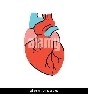 Symbol für die Farblinie des menschlichen Herzens. Organisation im Organismus. Vektorisoliertes Element. Bearbeitbare Kontur. Stock Vektor