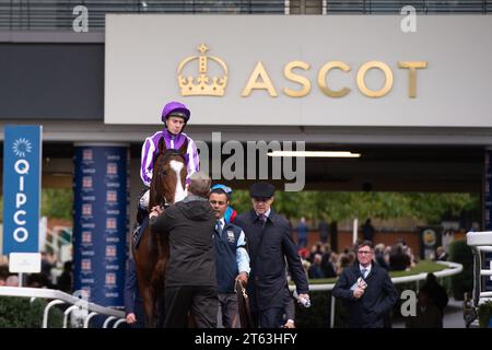 Ascot, Berkshire, Großbritannien. Oktober 2023. Horse Point Lonsdale, geritten von Jockey Ryan Moore, begibt sich auf die Rennstrecke für das QIPCO British Champion Stakes (Klasse 1) (British Champions Middle Distance) (Gruppe 1) auf der Ascot Racecourse am British Champions Day. Besitzer D Smith, J Magnier, M Tabor, Westerberg. Trainer Aidan O'Brien, Irland. Züchter Epona Bloodstock Ltd Kredit: Maureen McLean/Alamy Stockfoto