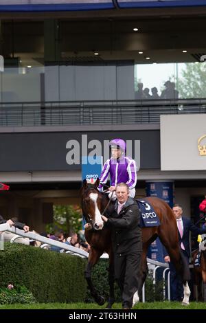 Ascot, Berkshire, Großbritannien. Oktober 2023. Horse Point Lonsdale, geritten von Jockey Ryan Moore, begibt sich auf die Rennstrecke für das QIPCO British Champion Stakes (Klasse 1) (British Champions Middle Distance) (Gruppe 1) auf der Ascot Racecourse am British Champions Day. Besitzer D Smith, J Magnier, M Tabor, Westerberg. Trainer Aidan O'Brien, Irland. Züchter Epona Bloodstock Ltd Kredit: Maureen McLean/Alamy Stockfoto