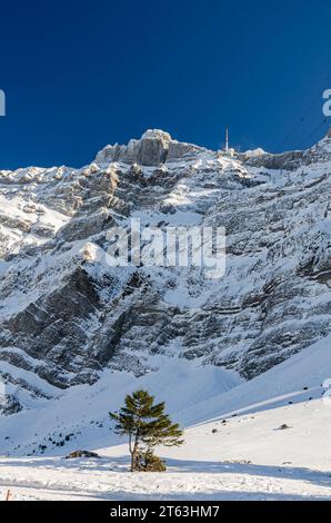 Das majestätische Saentis-Massiv im Winter, Blick von der Schwaegalp, Appenzell Ausserrhoden, Schweiz Stockfoto
