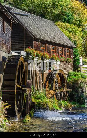 Hexenlochmühle, Hexenlochmühle, traditionelle Wassermühle mit zwei Wasserrädern im Schwarzwald bei Furtwangen, Baden-Württemberg Stockfoto