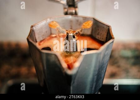 Nahaufnahme von sprudelndem Kaffee in einer Espressomaschine mit offenem Herd, die das reiche Aroma und die Textur des frisch gebrühten italienischen Kaffees in einem gemütlichen setti einfängt Stockfoto