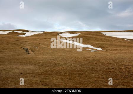 Isländisches Gelände mit schmelzenden Schneeflächen, die einen Kontrast von braunem Grasland unter einem bewölkten Himmel zeigen Stockfoto