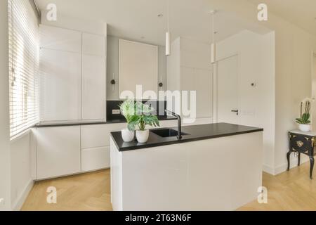 Inneneinrichtung der modernen Küche mit weißen Schränken und kleinen Pflanzen auf schwarzer Arbeitsplatte in einem modernen Apartment Stockfoto