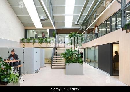 Elegantes Coworking-Büro in Madrid, Spanien, mit einer hellen, luftigen Umgebung, in der professionelle Mitarbeiter arbeiten, grüne Pflanzen und abgeteilte Räume Stockfoto