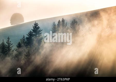 Herbst Berglandschaft im Morgenlicht. Sonnenstrahlen beleuchten Bäume im Nebel. Stockfoto