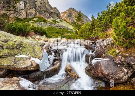 Wilder Bach im Mlynicka Valley im Spätherbst. Nationalpark Hohe Tatra, Slowakei, Europa. Stockfoto