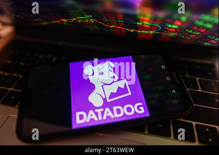 Polen. November 2023. In dieser Abbildung wird ein DataDog-Logo auf einem Smartphone angezeigt. (Foto von Omar Marques/SOPA Images/SIPA USA) *** ausschließlich für redaktionelle Nachrichten *** Credit: SIPA USA/Alamy Live News Stockfoto