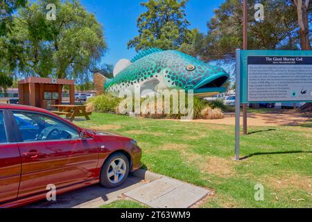 Swan Hill, Victoria, Australien, Arnold, der Big Murray Kabeljau, der berühmte Süßwasserfisch Stockfoto