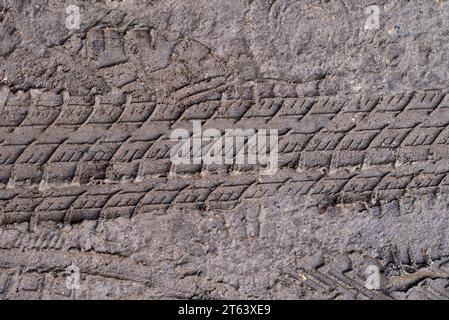 Nahaufnahme der Reifenspuren auf dem Sand an der Küste Stockfoto