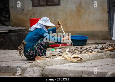 Eine Bauernfrau in Vietnam Stockfoto