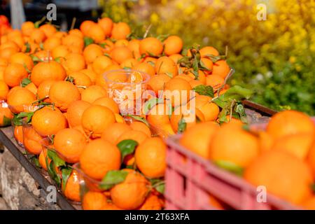 Mandarinen Obst auf dem Markt, Basar an einem heißen sonnigen Tag Stockfoto