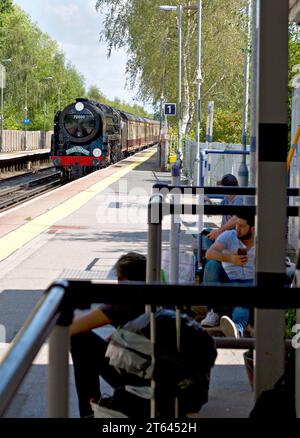 Die erhaltene Dampflokomotive Nr. 70000 „Britannia“ bringt einen „Steam Dreams“-Ausflugszug nach Süden durch den Bahnhof Hildenborough in Kent, Großbritannien Stockfoto