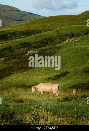 Isle of Sky Landschaft Sctoland Stockfoto