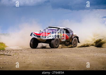 Rennwagen mit hoher Geschwindigkeit auf Geländestraßen während einer Cross Country-Rallye Stockfoto