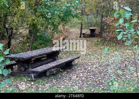 Zwei leere alte Tische und Bänke zur Erholung tief im herbstlichen Wald Stockfoto