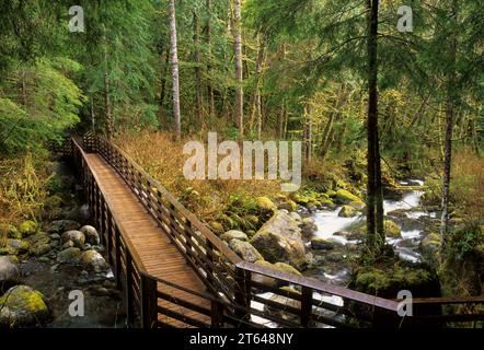 North Fork Wallace River, Wallace Falls State Park, Washington Stockfoto