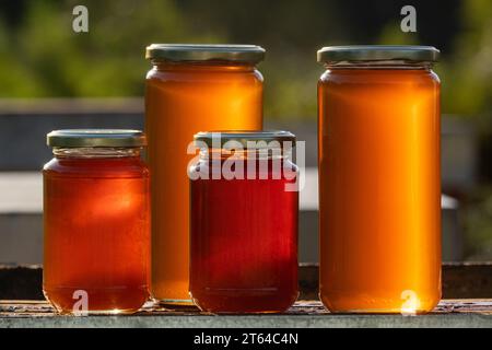 Vier Gläser Bio-Honig, zwei große und zwei kleine, auf einem Bienenstock unter dem Licht eines Herbstuntergangs Stockfoto